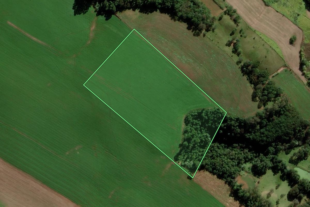 Imagem de satélite do imóvel rural em Modelo (SC), com o contorno declarado no CAR desenhado por cima.