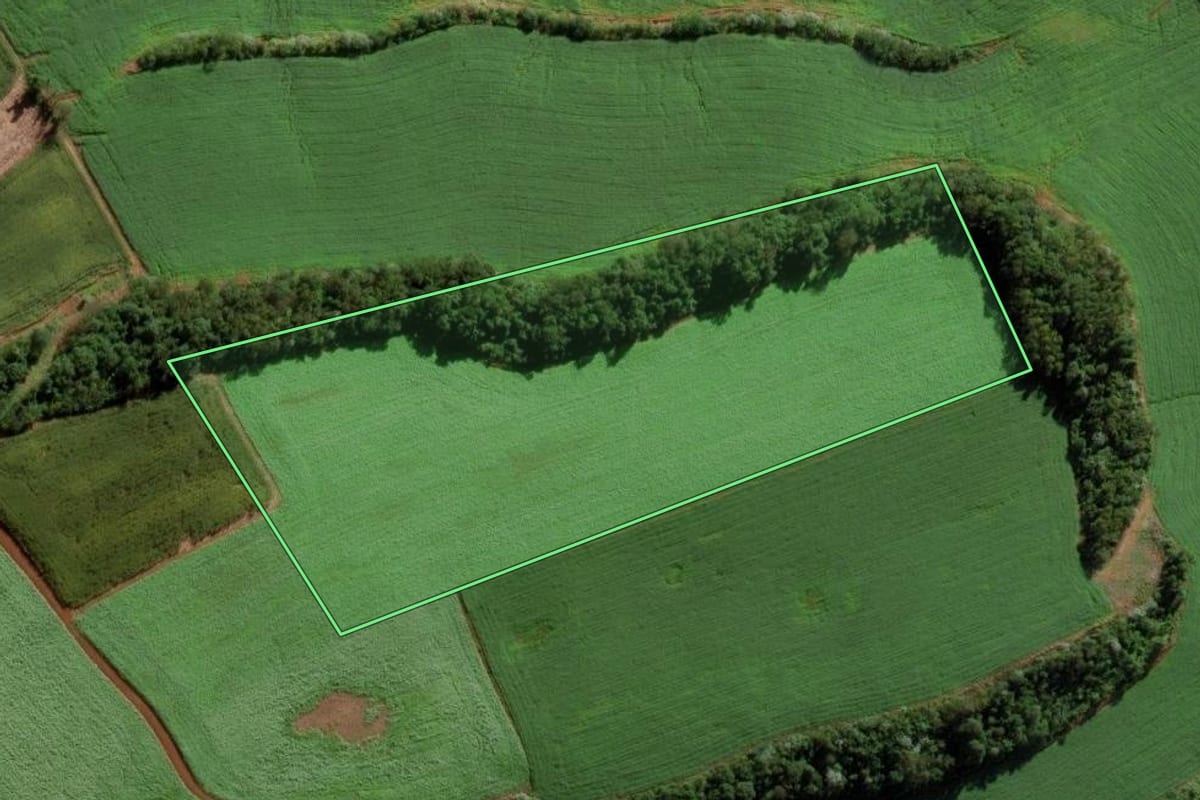 Imagem de satélite do imóvel rural em Modelo (SC), com o contorno declarado no CAR desenhado por cima.