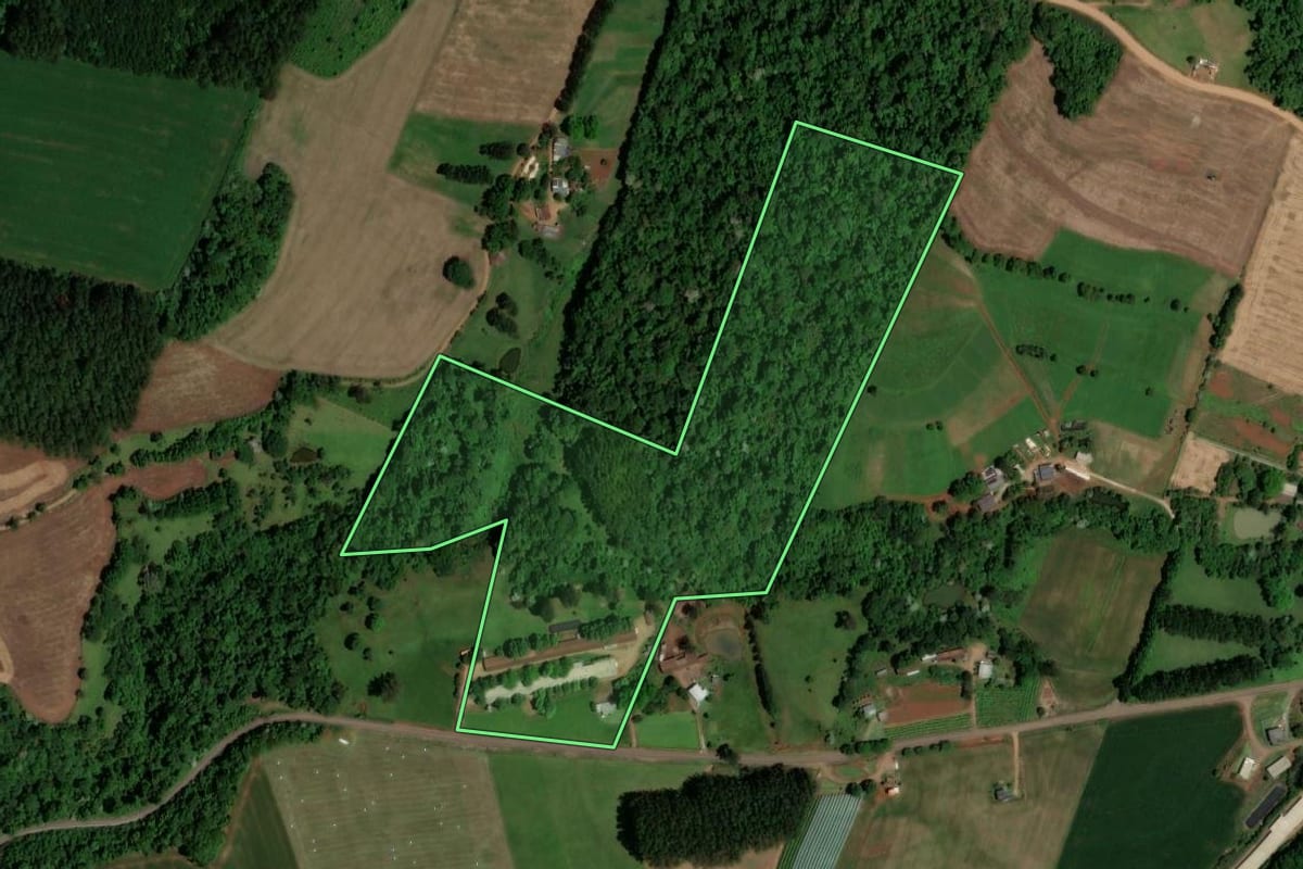 Imagem de satélite do imóvel rural em Modelo (SC), com o contorno declarado no CAR desenhado por cima.