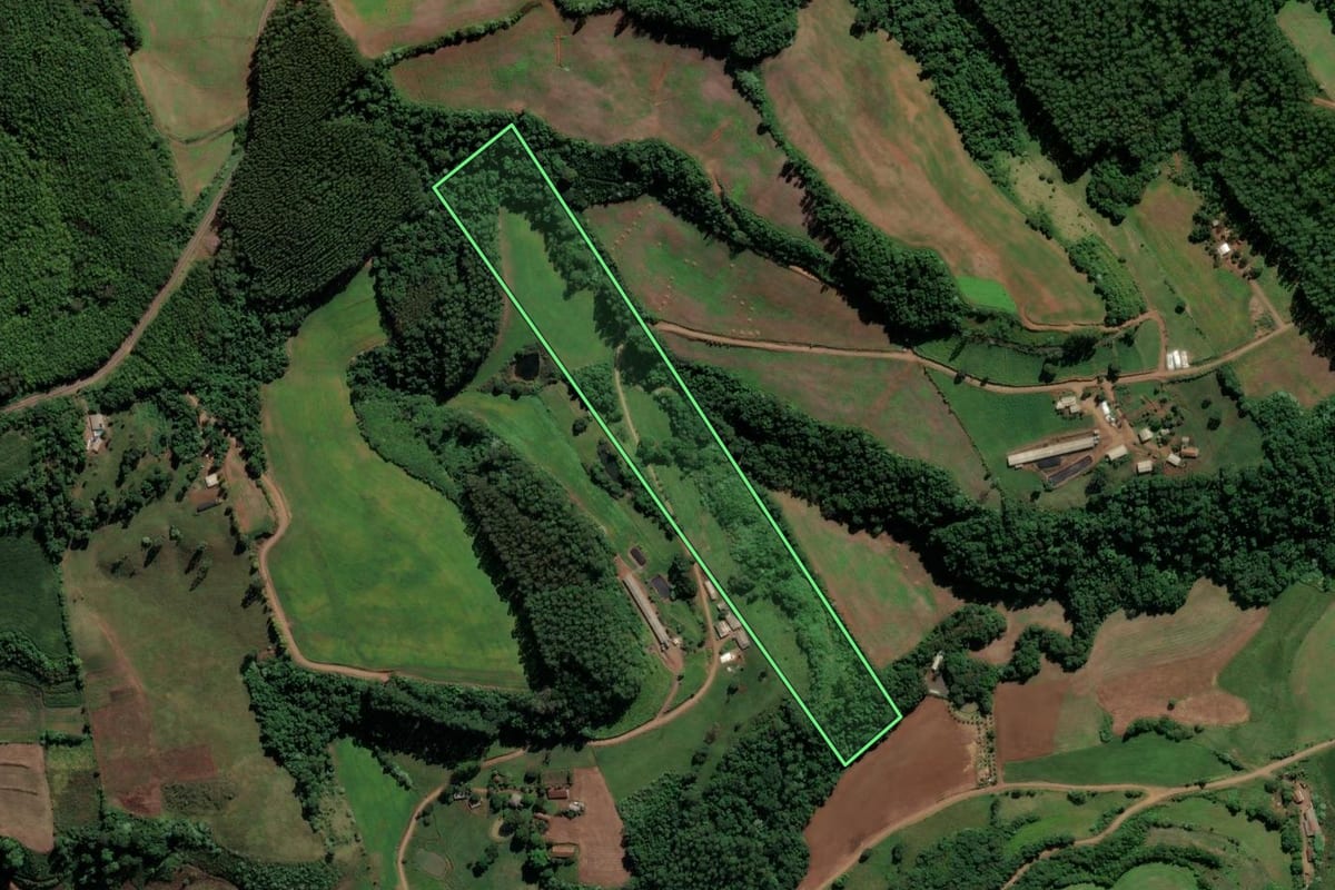 Imagem de satélite do imóvel rural em Modelo (SC), com o contorno declarado no CAR desenhado por cima.