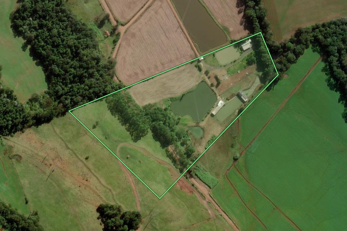 Imagem de satélite do imóvel rural em Modelo (SC), com o contorno declarado no CAR desenhado por cima.