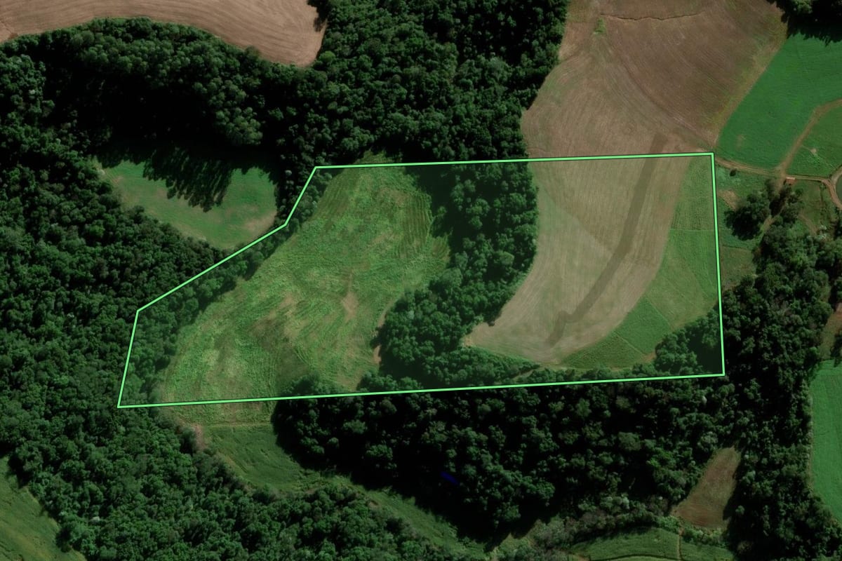 Imagem de satélite do imóvel rural em Modelo (SC), com o contorno declarado no CAR desenhado por cima.