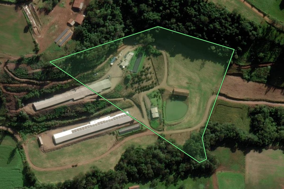 Imagem de satélite do imóvel rural em Modelo (SC), com o contorno declarado no CAR desenhado por cima.