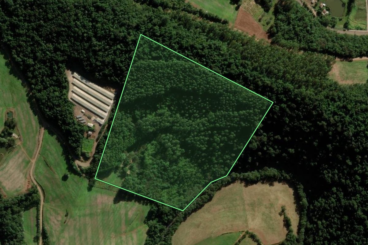 Imagem de satélite do imóvel rural em Modelo (SC), com o contorno declarado no CAR desenhado por cima.
