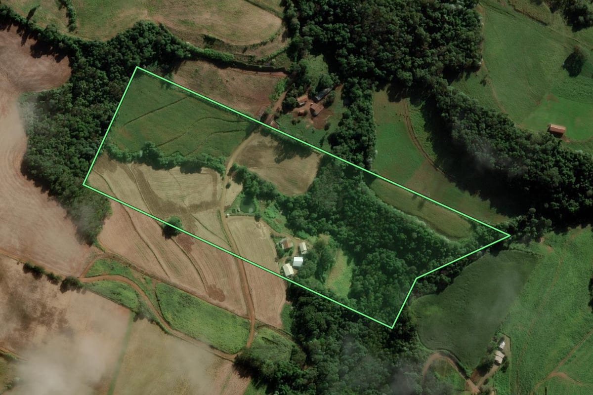 Imagem de satélite do imóvel rural em Modelo (SC), com o contorno declarado no CAR desenhado por cima.