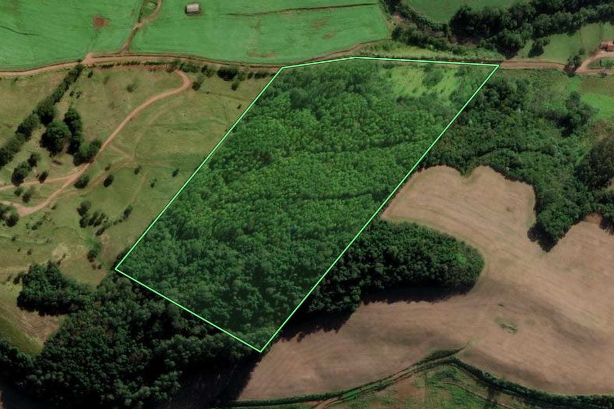 Imagem de satélite do imóvel rural em Modelo (SC), com o contorno declarado no CAR desenhado por cima.