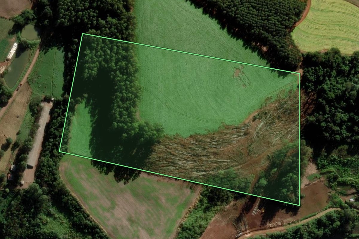 Imagem de satélite do imóvel rural em Modelo (SC), com o contorno declarado no CAR desenhado por cima.