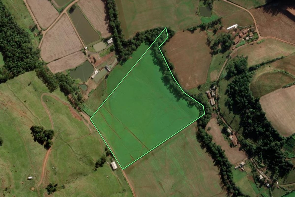 Imagem de satélite do imóvel rural em Modelo (SC), com o contorno declarado no CAR desenhado por cima.