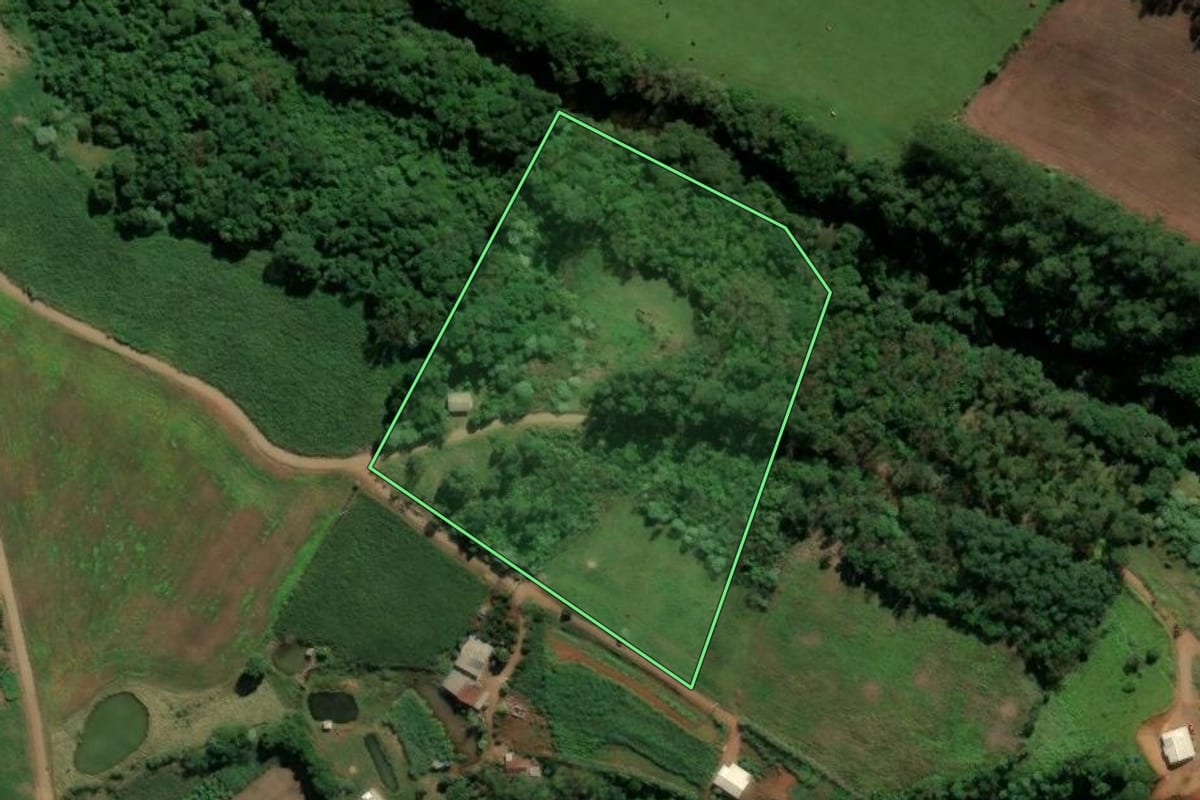 Imagem de satélite do imóvel rural em Modelo (SC), com o contorno declarado no CAR desenhado por cima.