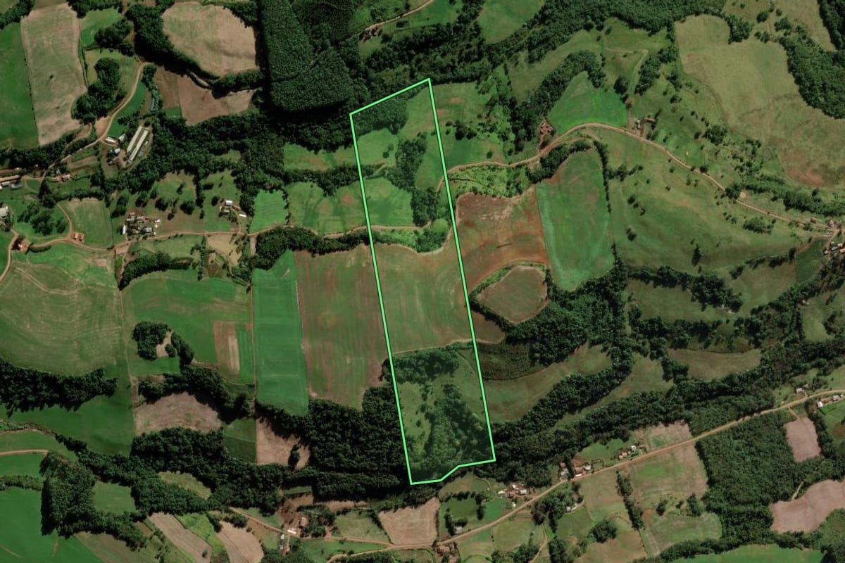 Imagem de satélite do imóvel rural em Modelo (SC), com o contorno declarado no CAR desenhado por cima.