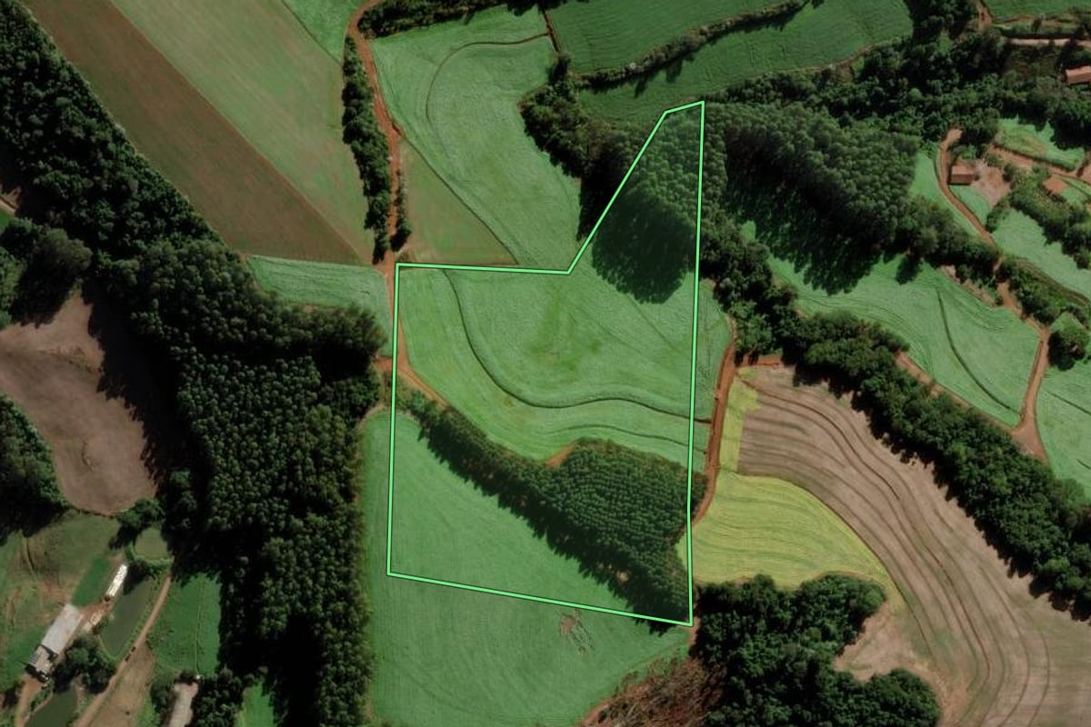Imagem de satélite do imóvel rural em Modelo (SC), com o contorno declarado no CAR desenhado por cima.