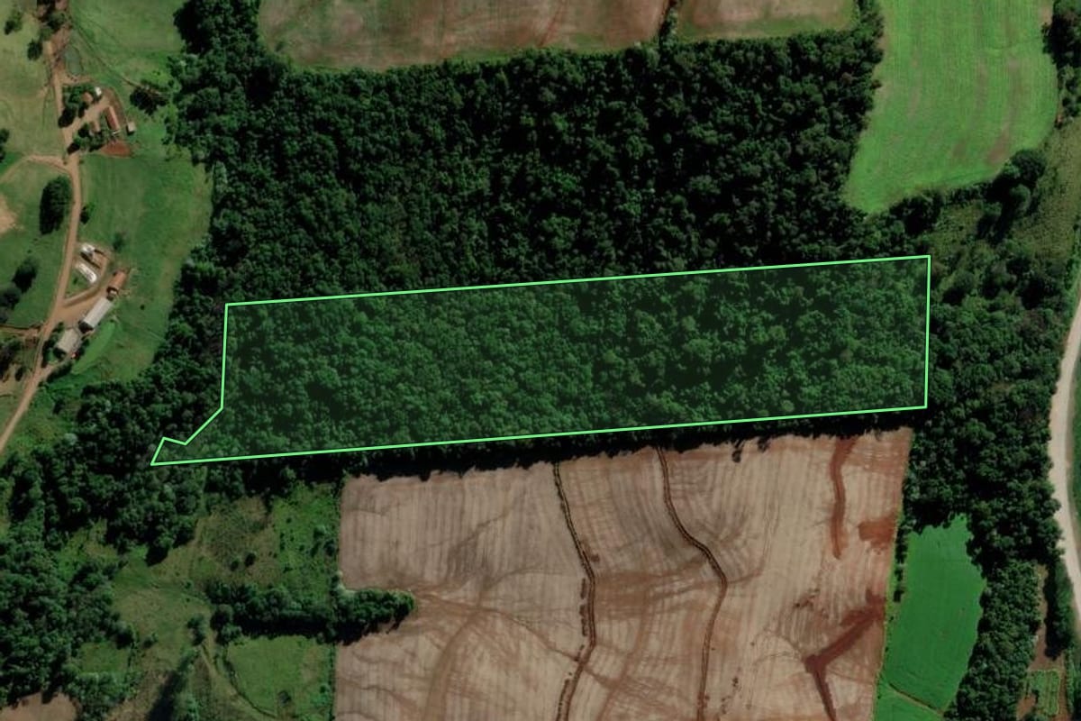 Imagem de satélite do imóvel rural em Modelo (SC), com o contorno declarado no CAR desenhado por cima.