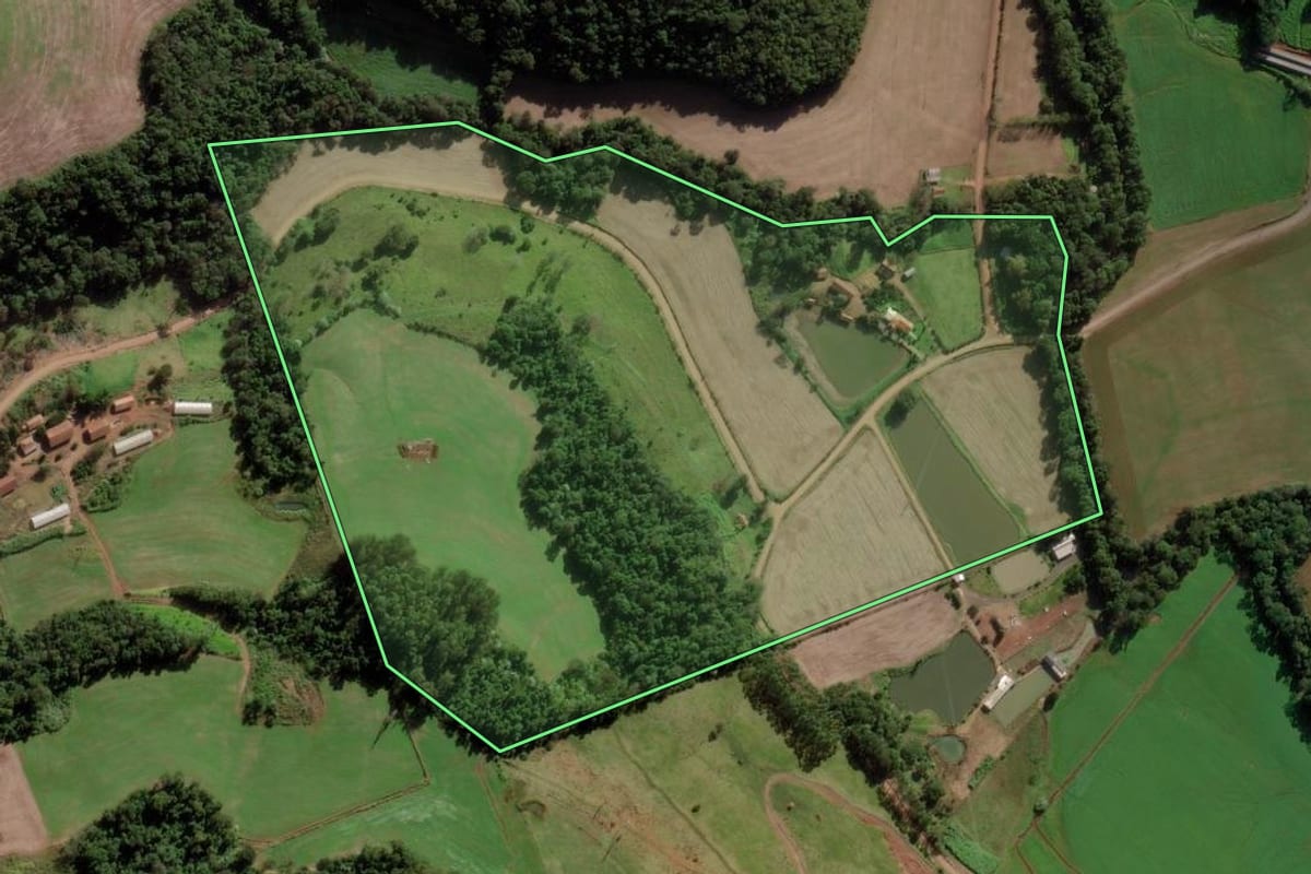 Imagem de satélite do imóvel rural em Modelo (SC), com o contorno declarado no CAR desenhado por cima.