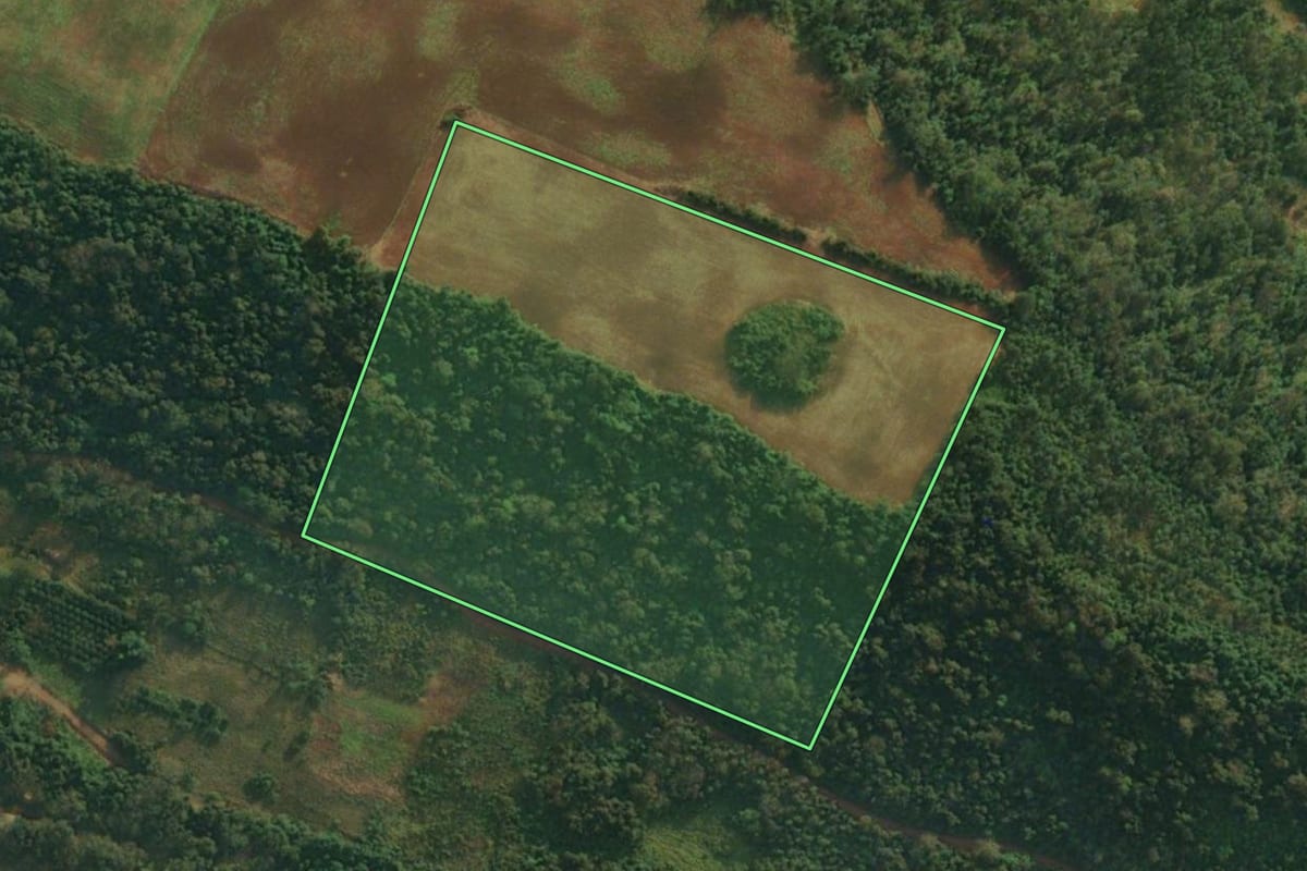 Imagem de satélite do imóvel rural em Mondaí (SC), com o contorno declarado no CAR desenhado por cima.