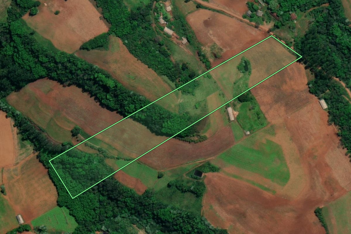 Imagem de satélite do imóvel rural em Mondaí (SC), com o contorno declarado no CAR desenhado por cima.