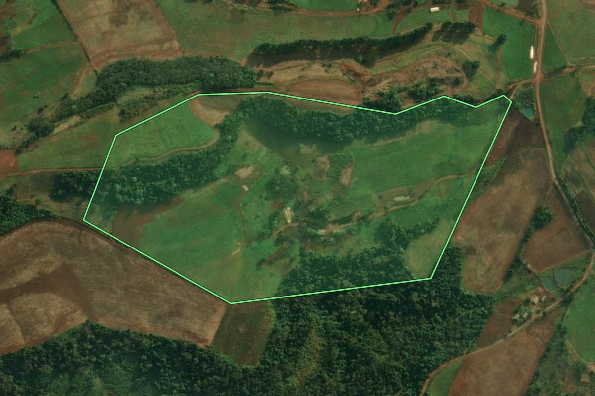Imagem de satélite do imóvel rural em Mondaí (SC), com o contorno declarado no CAR desenhado por cima.