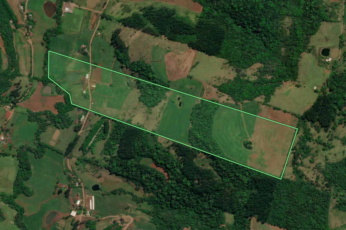 Imagem de satélite do imóvel rural em Mondaí (SC), com o contorno declarado no CAR desenhado por cima.