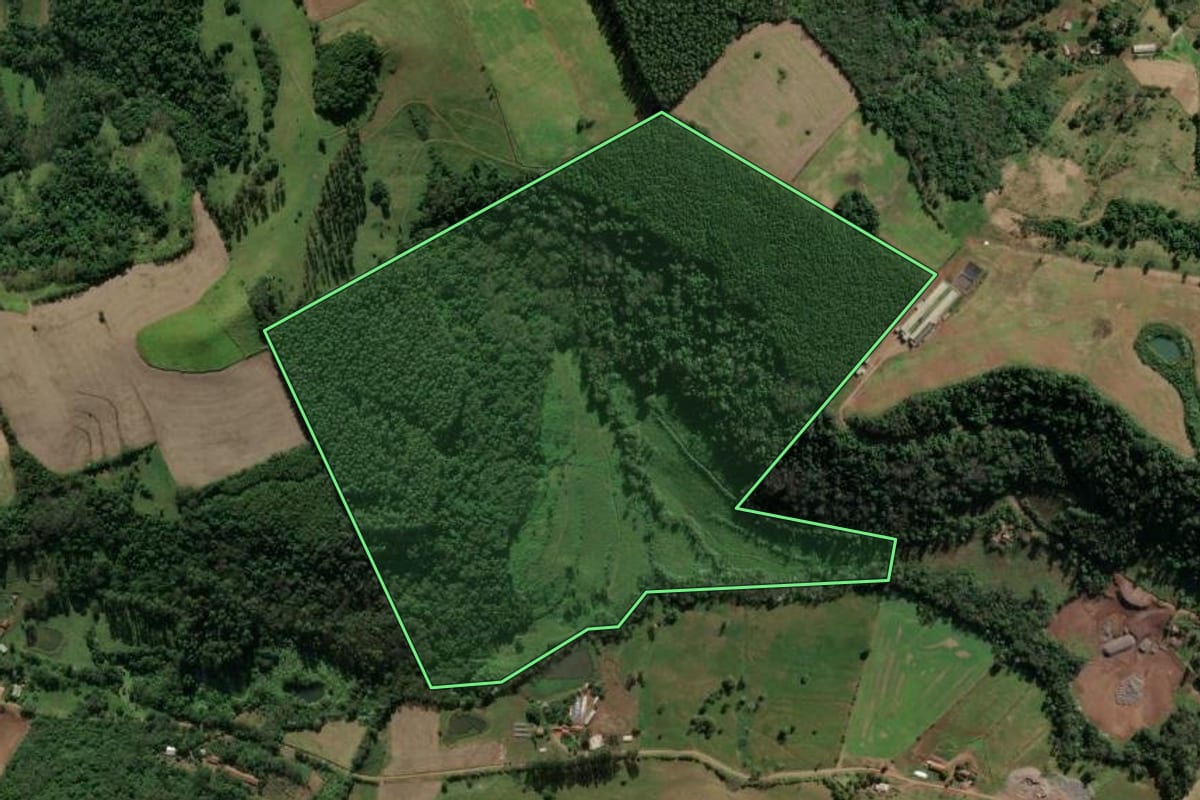 Imagem de satélite do imóvel rural em Mondaí (SC), com o contorno declarado no CAR desenhado por cima.