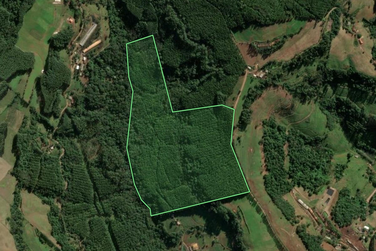 Imagem de satélite do imóvel rural em Mondaí (SC), com o contorno declarado no CAR desenhado por cima.