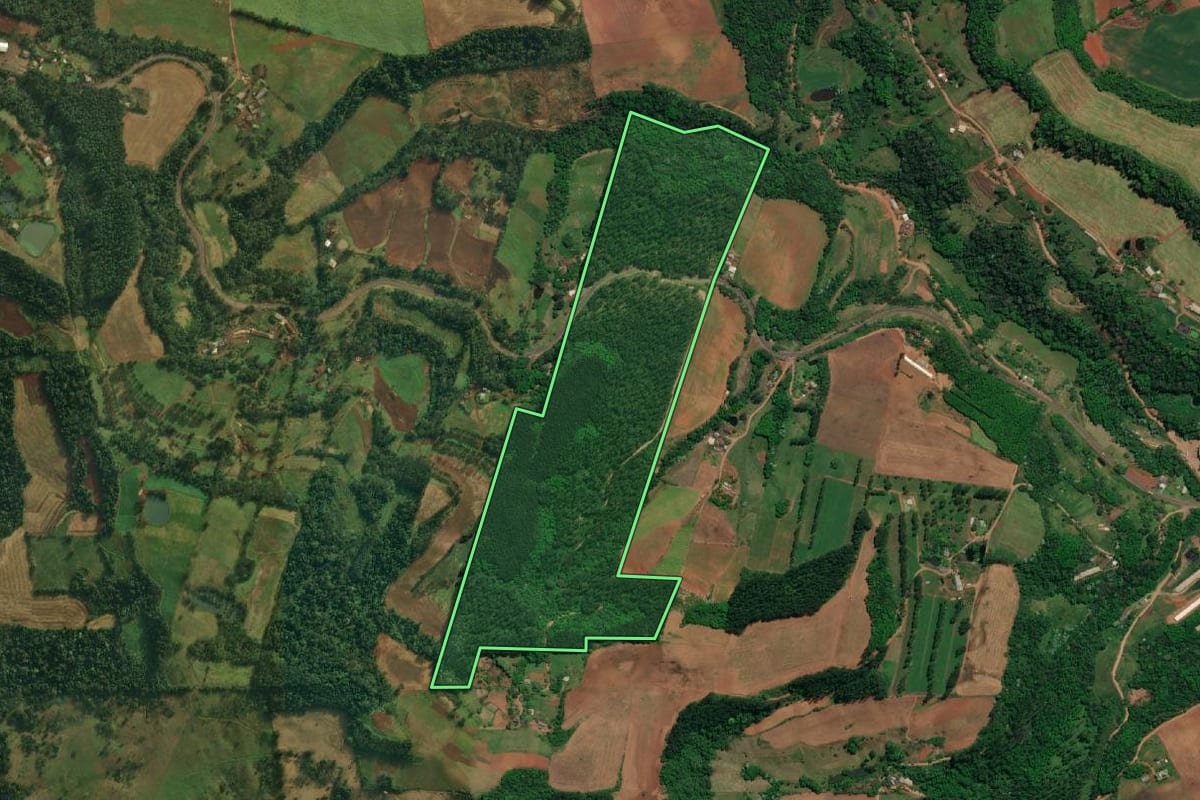 Imagem de satélite do imóvel rural em Mondaí (SC), com o contorno declarado no CAR desenhado por cima.