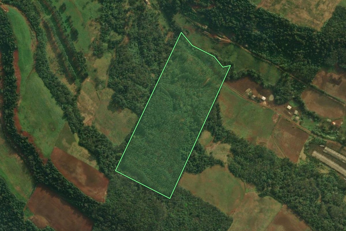 Imagem de satélite do imóvel rural em Mondaí (SC), com o contorno declarado no CAR desenhado por cima.