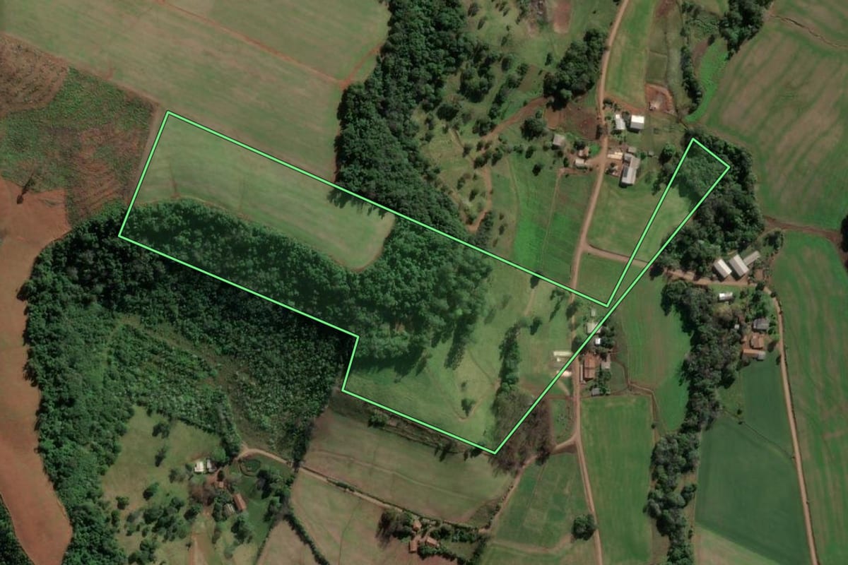 Imagem de satélite do imóvel rural em Mondaí (SC), com o contorno declarado no CAR desenhado por cima.