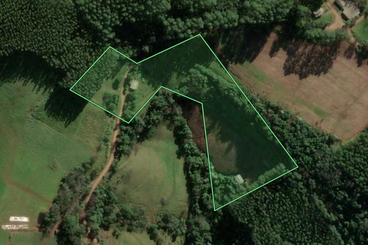 Imagem de satélite do imóvel rural em Mondaí (SC), com o contorno declarado no CAR desenhado por cima.