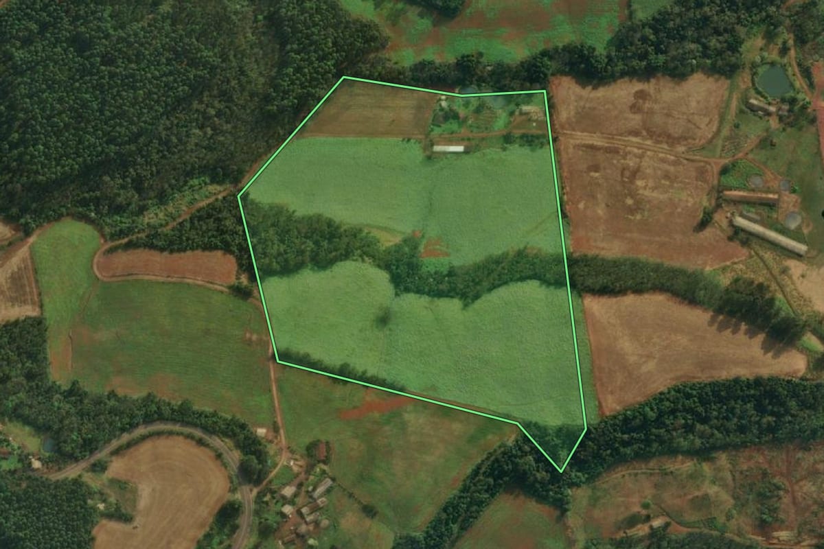 Imagem de satélite do imóvel rural em Mondaí (SC), com o contorno declarado no CAR desenhado por cima.