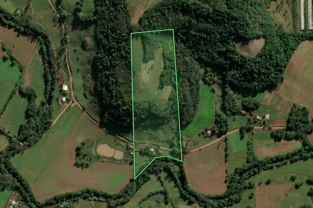 Imagem de satélite do imóvel rural em Mondaí (SC), com o contorno declarado no CAR desenhado por cima.