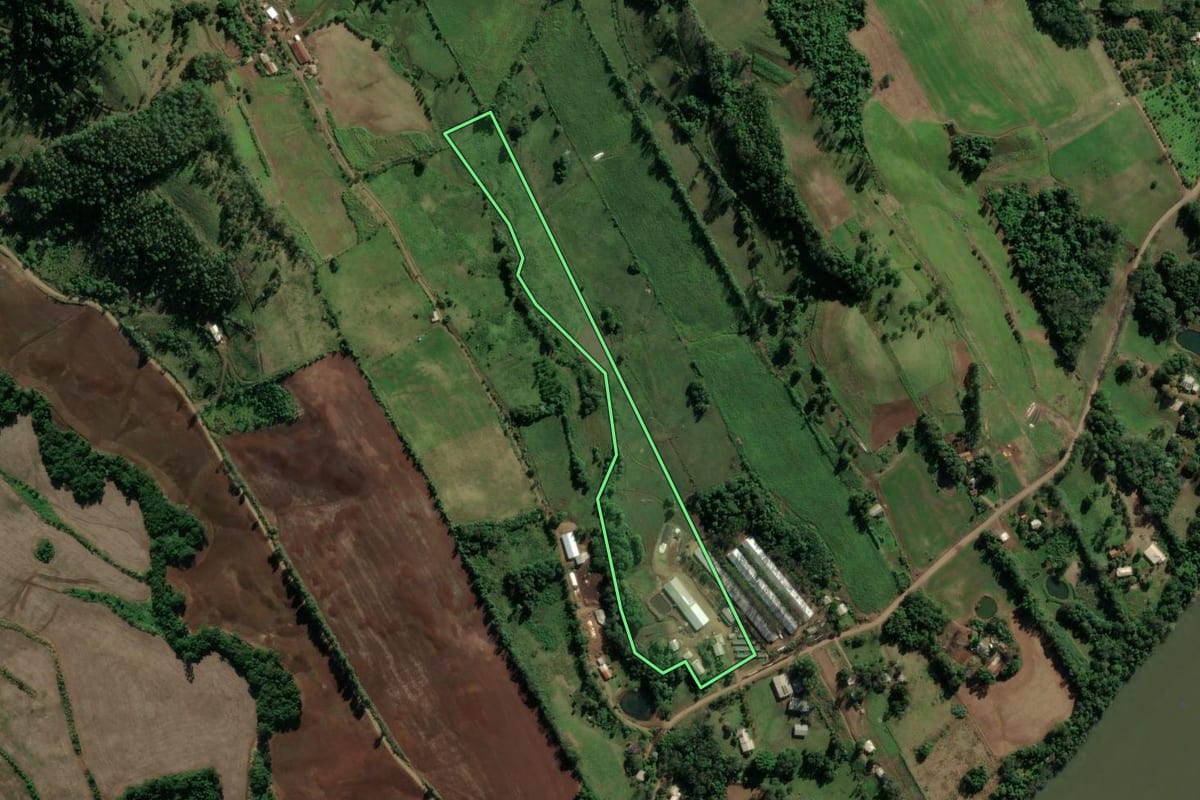 Imagem de satélite do imóvel rural em Mondaí (SC), com o contorno declarado no CAR desenhado por cima.