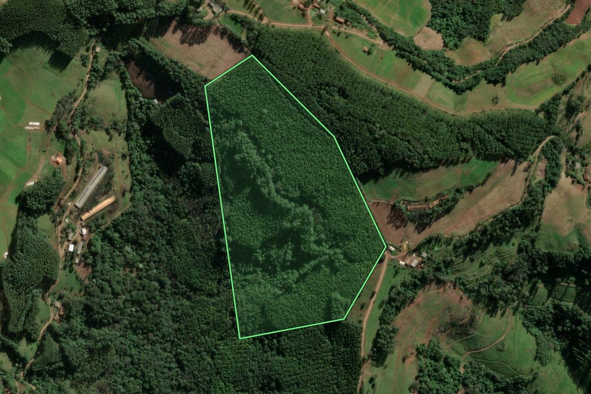 Imagem de satélite do imóvel rural em Mondaí (SC), com o contorno declarado no CAR desenhado por cima.