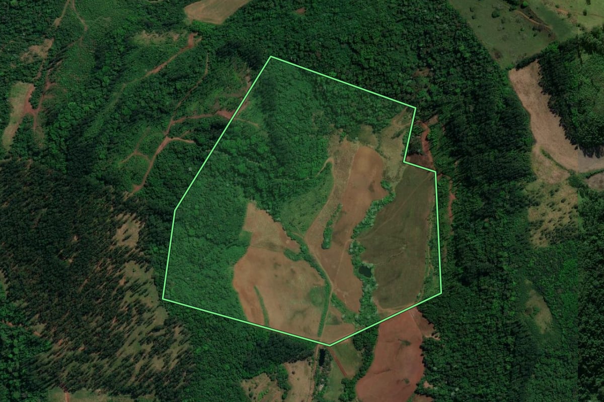 Imagem de satélite do imóvel rural em Mondaí (SC), com o contorno declarado no CAR desenhado por cima.