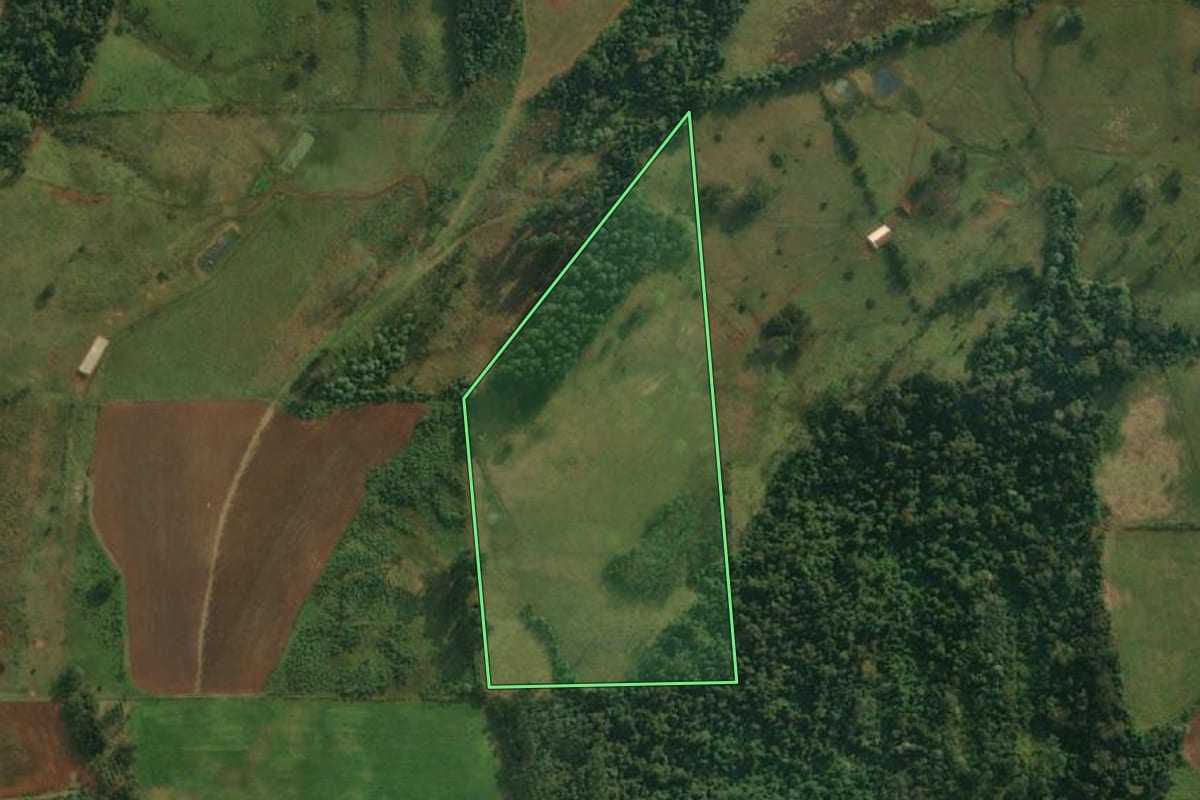 Imagem de satélite do imóvel rural em Mondaí (SC), com o contorno declarado no CAR desenhado por cima.