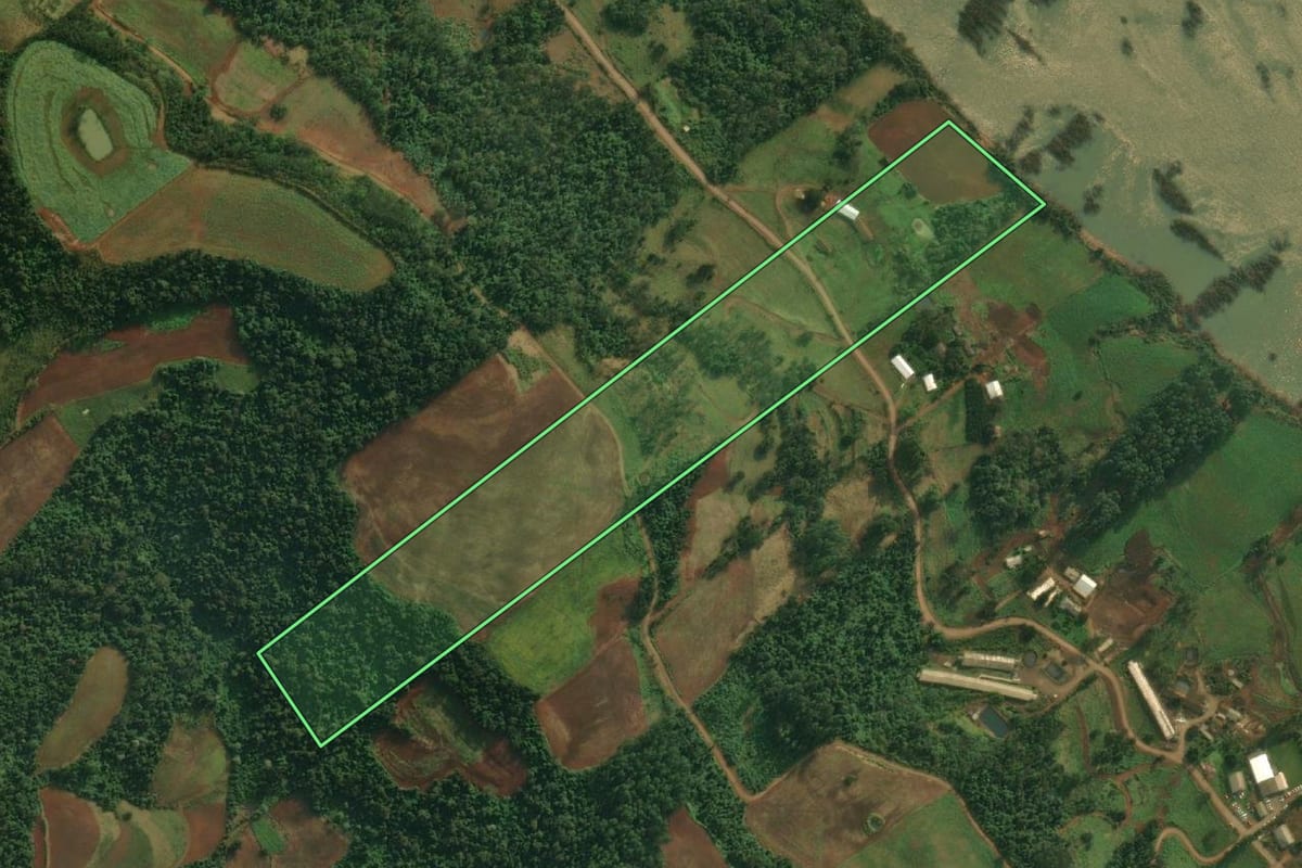 Imagem de satélite do imóvel rural em Mondaí (SC), com o contorno declarado no CAR desenhado por cima.