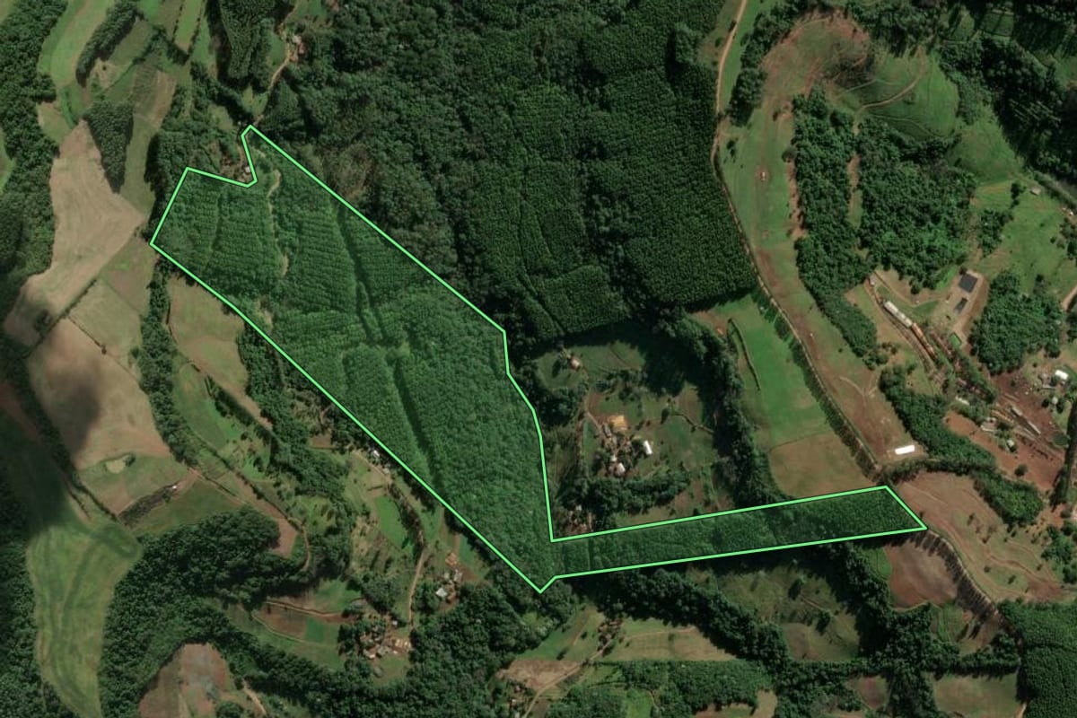 Imagem de satélite do imóvel rural em Mondaí (SC), com o contorno declarado no CAR desenhado por cima.