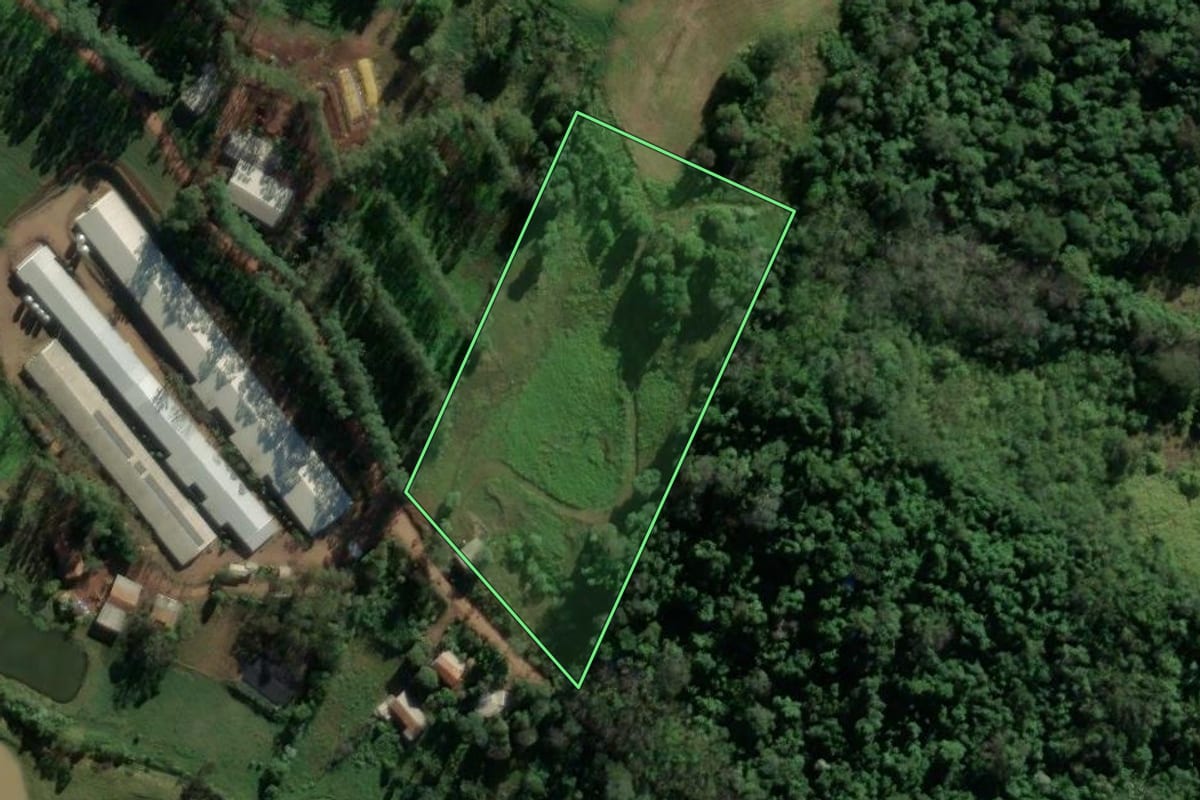 Imagem de satélite do imóvel rural em Mondaí (SC), com o contorno declarado no CAR desenhado por cima.
