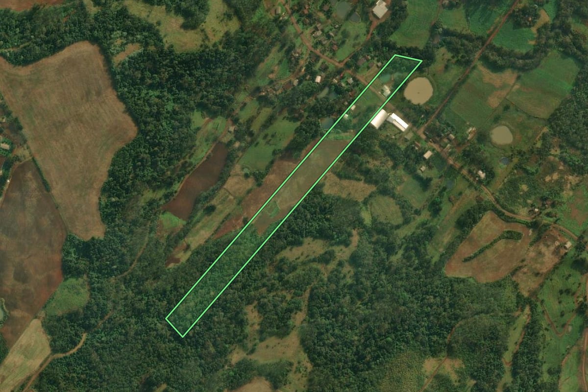 Imagem de satélite do imóvel rural em Mondaí (SC), com o contorno declarado no CAR desenhado por cima.
