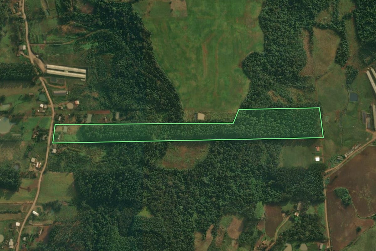 Imagem de satélite do imóvel rural em Mondaí (SC), com o contorno declarado no CAR desenhado por cima.