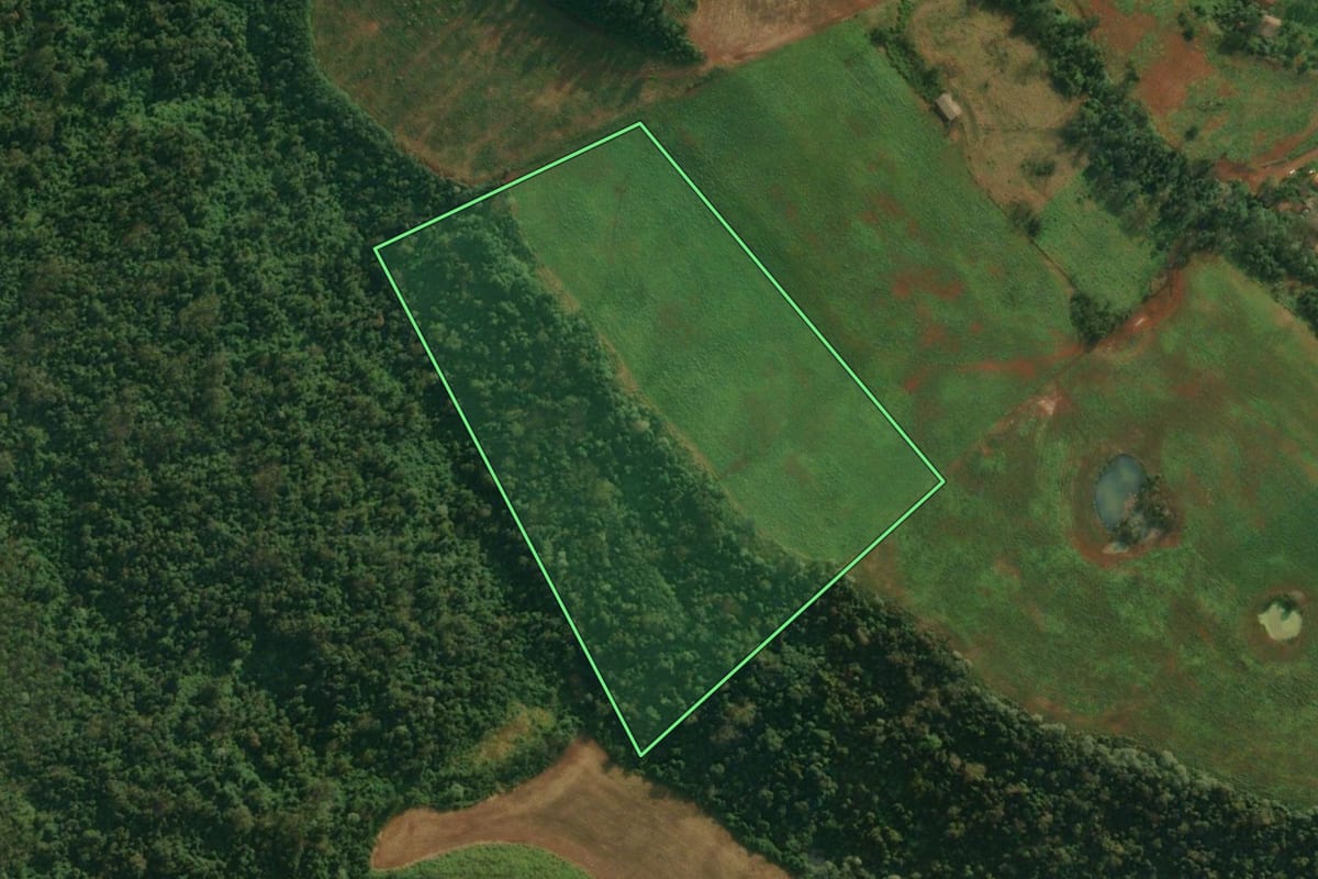 Imagem de satélite do imóvel rural em Mondaí (SC), com o contorno declarado no CAR desenhado por cima.