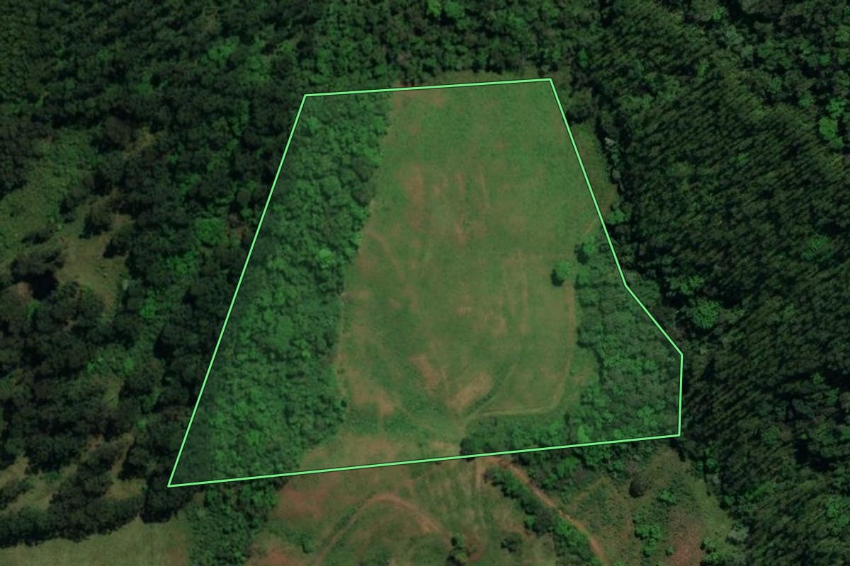Imagem de satélite do imóvel rural em Mondaí (SC), com o contorno declarado no CAR desenhado por cima.