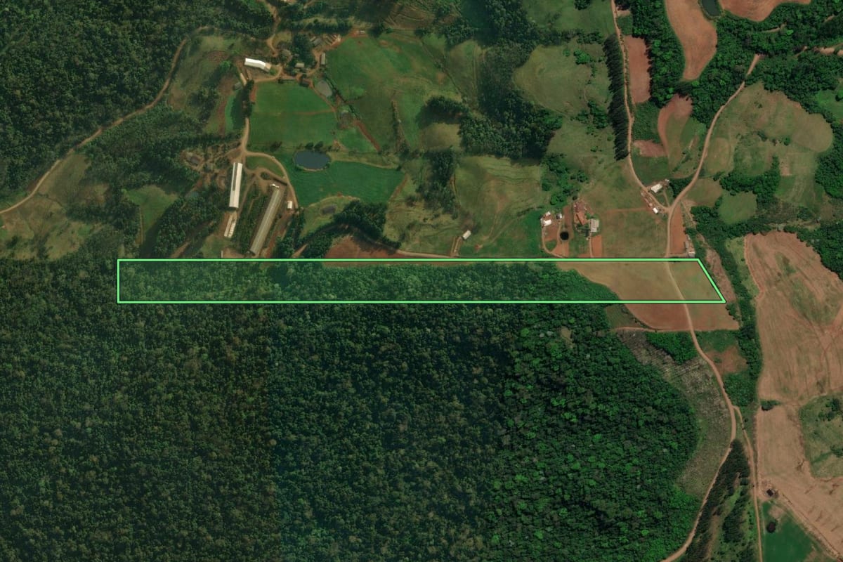 Imagem de satélite do imóvel rural em Mondaí (SC), com o contorno declarado no CAR desenhado por cima.