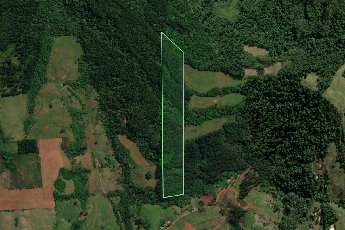 Imagem de satélite do imóvel rural em Mondaí (SC), com o contorno declarado no CAR desenhado por cima.