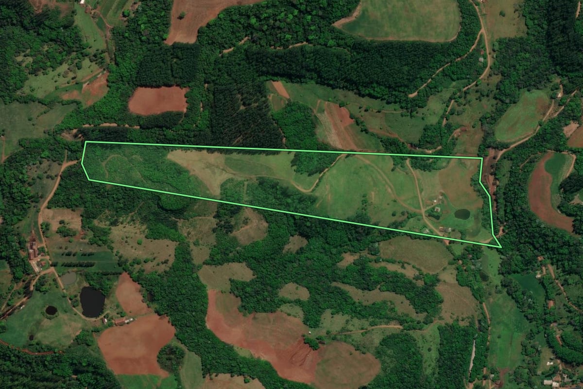 Imagem de satélite do imóvel rural em Mondaí (SC), com o contorno declarado no CAR desenhado por cima.