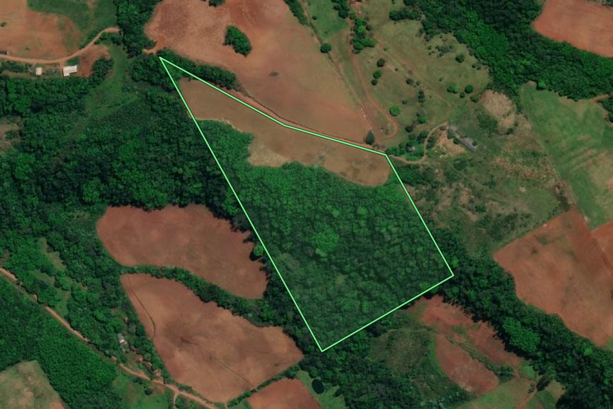 Imagem de satélite do imóvel rural em Mondaí (SC), com o contorno declarado no CAR desenhado por cima.