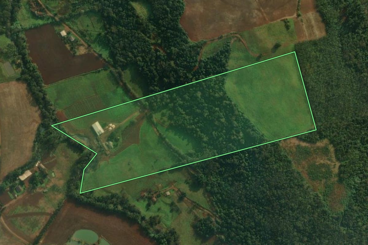Imagem de satélite do imóvel rural em Mondaí (SC), com o contorno declarado no CAR desenhado por cima.
