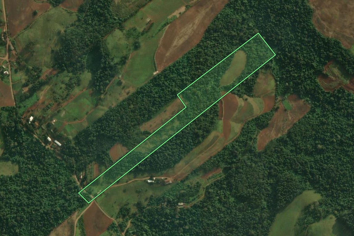 Imagem de satélite do imóvel rural em Mondaí (SC), com o contorno declarado no CAR desenhado por cima.