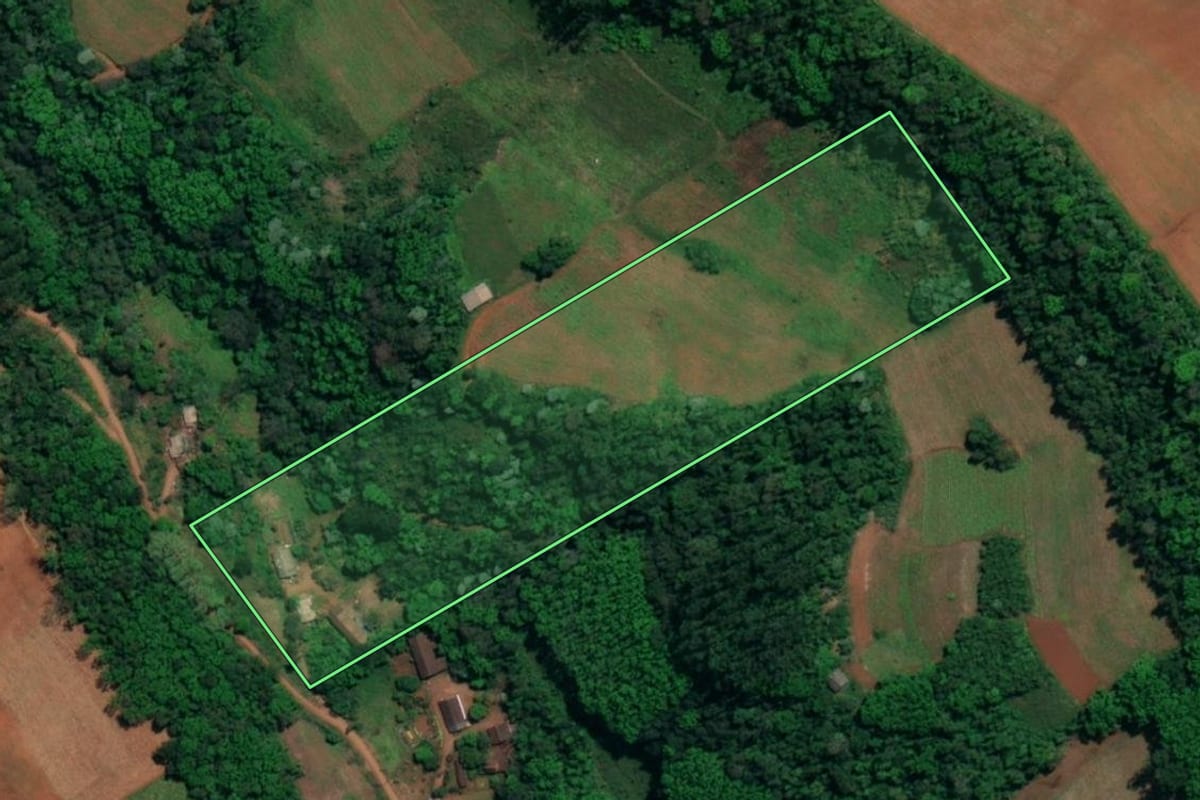 Imagem de satélite do imóvel rural em Mondaí (SC), com o contorno declarado no CAR desenhado por cima.