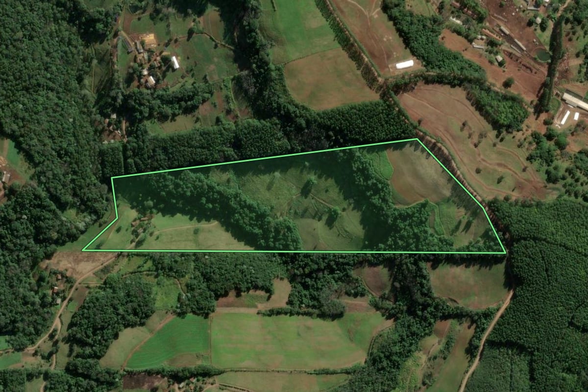Imagem de satélite do imóvel rural em Mondaí (SC), com o contorno declarado no CAR desenhado por cima.