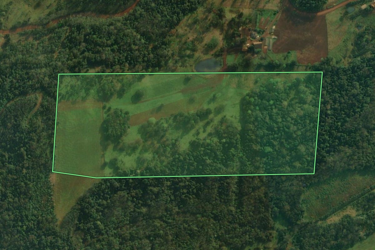 Imagem de satélite do imóvel rural em Mondaí (SC), com o contorno declarado no CAR desenhado por cima.