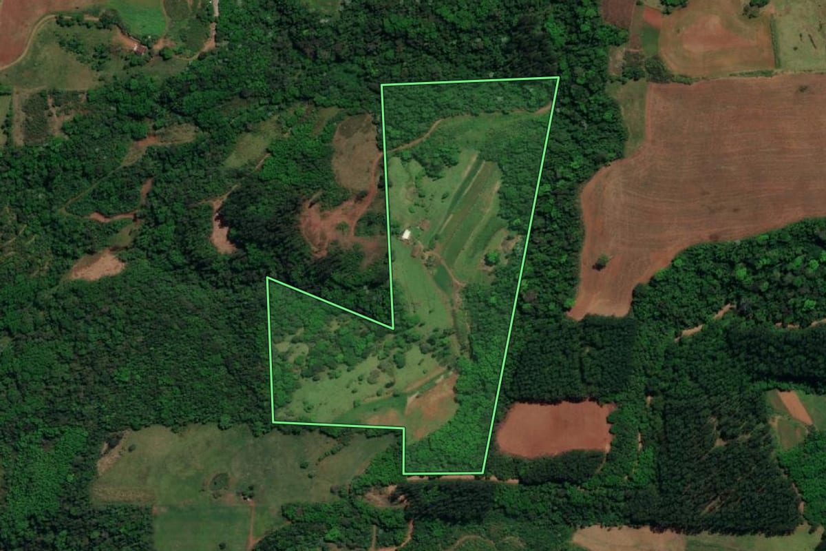 Imagem de satélite do imóvel rural em Mondaí (SC), com o contorno declarado no CAR desenhado por cima.